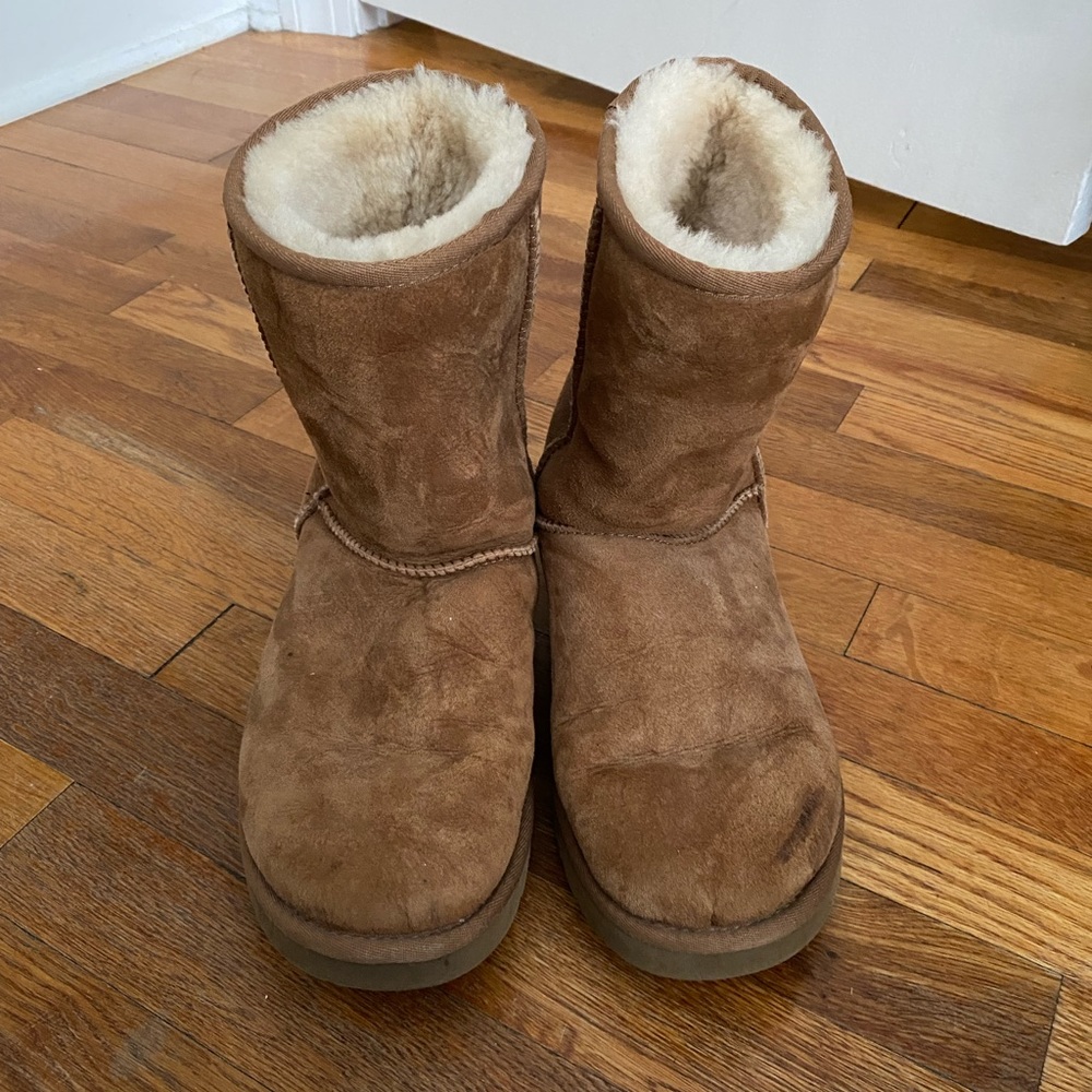 Chestnut Brown Short Uggs